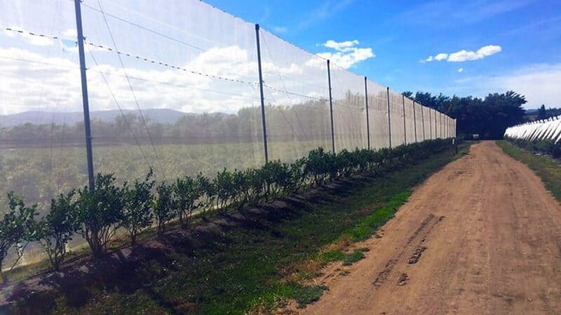 agricultural windbreak net 2