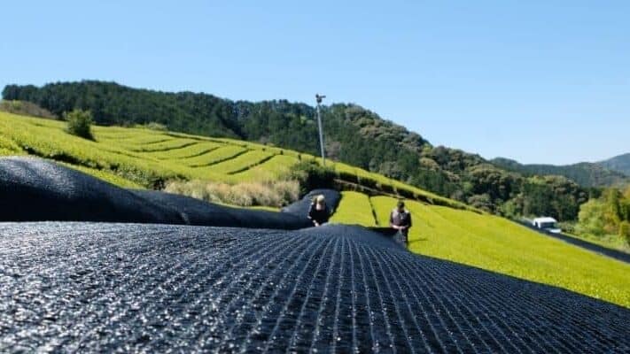 Guide of Shade Cloth