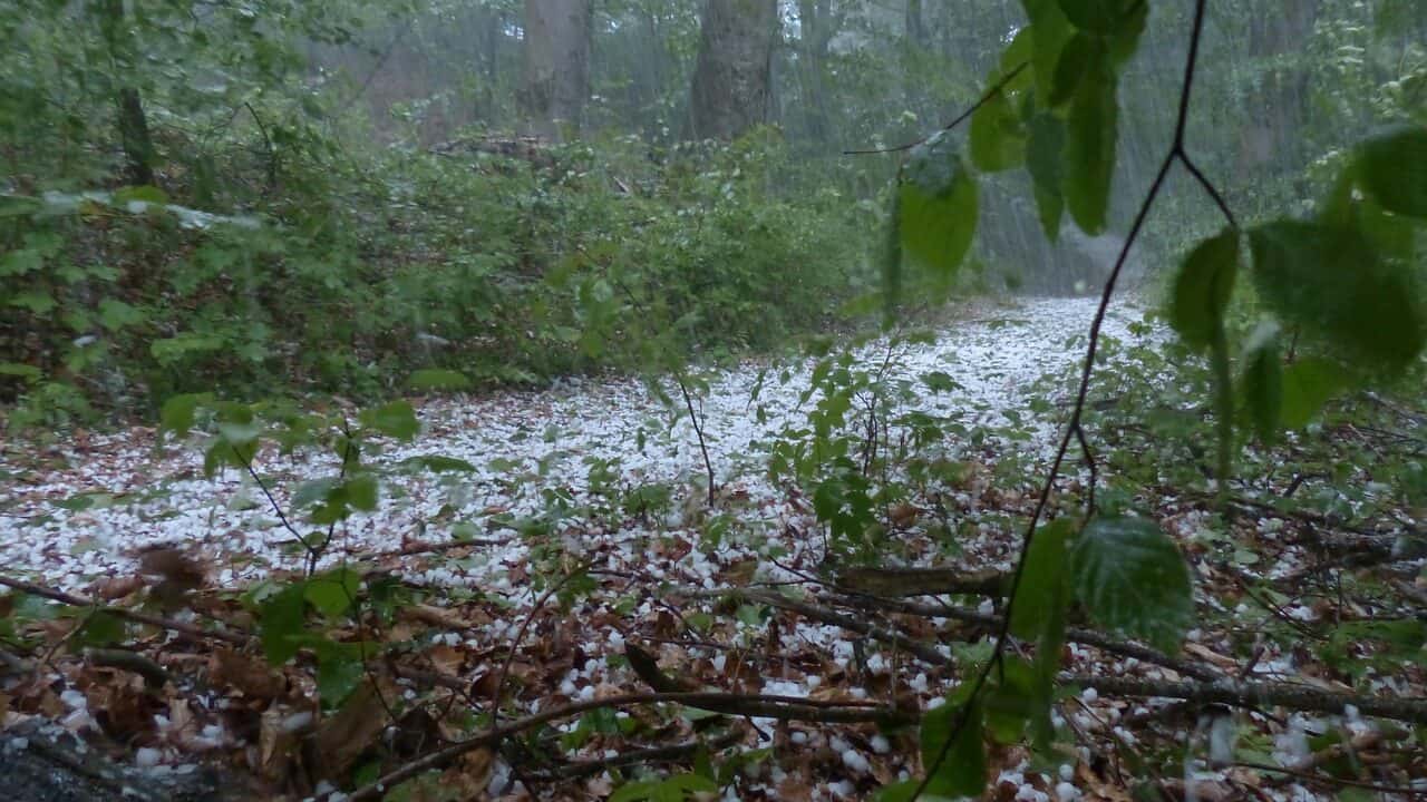 hail, storm, thunderstorm-123041.jpg