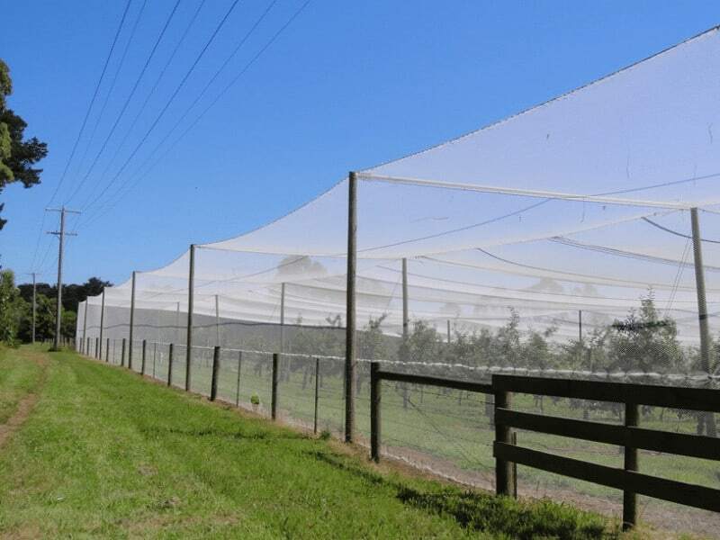 orchard netting 800x