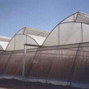insect net