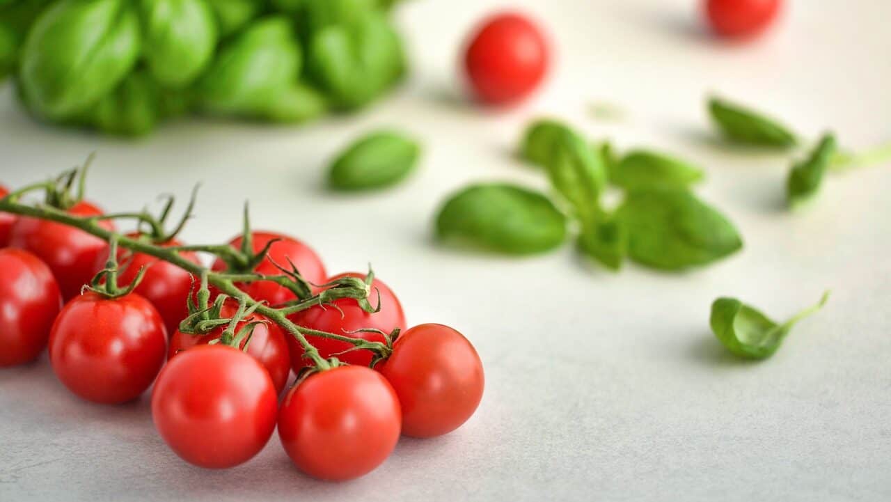 tomatoes, basil, food-3404263.jpg