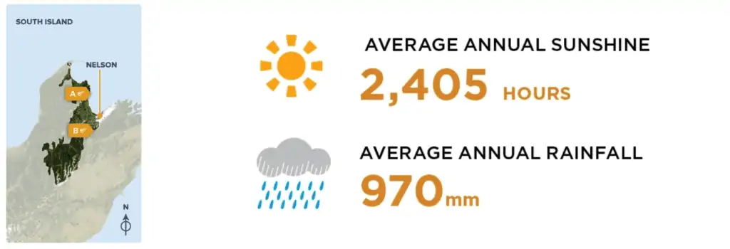 Nelson,New Zeland, weather