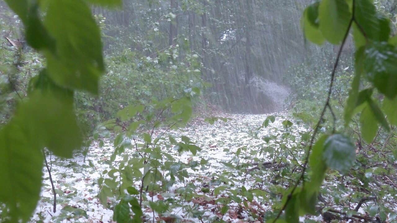 hail, storm,