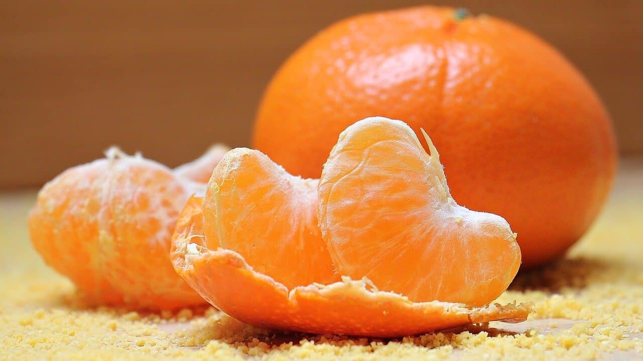 Citrus.jpg