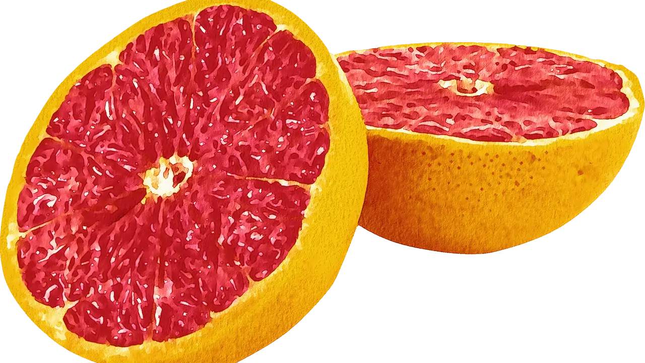 watercolor fruit, fruit, grapefruit-5233866.jpg