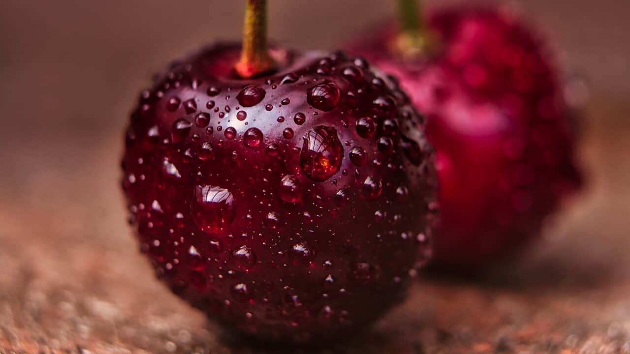 cherries, wet, washed-5360265.jpg