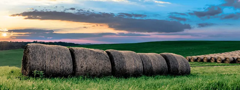 banner de envoltório de rede de fardos