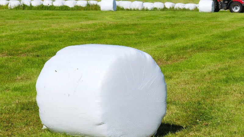 silage wrap film 