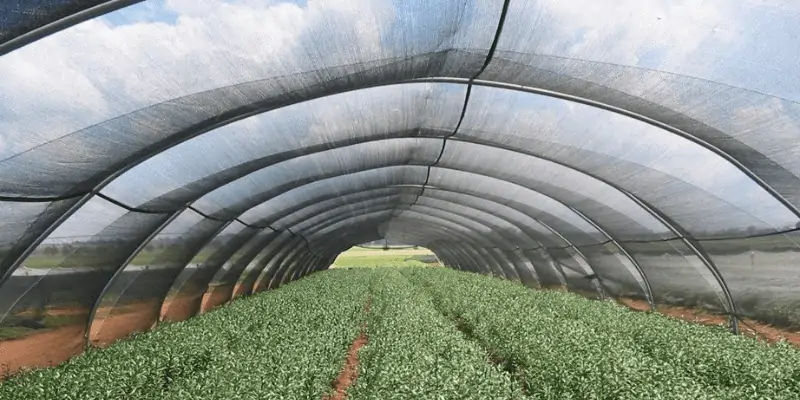 tape shade net