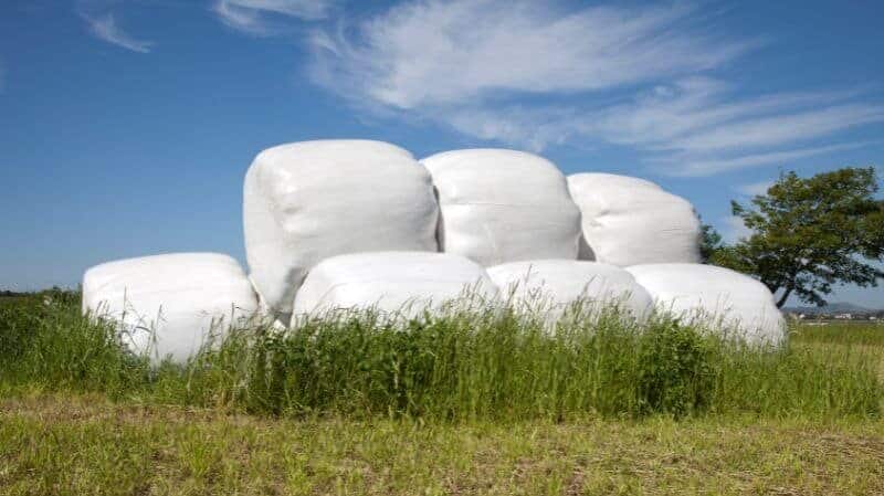 silage film (5)
