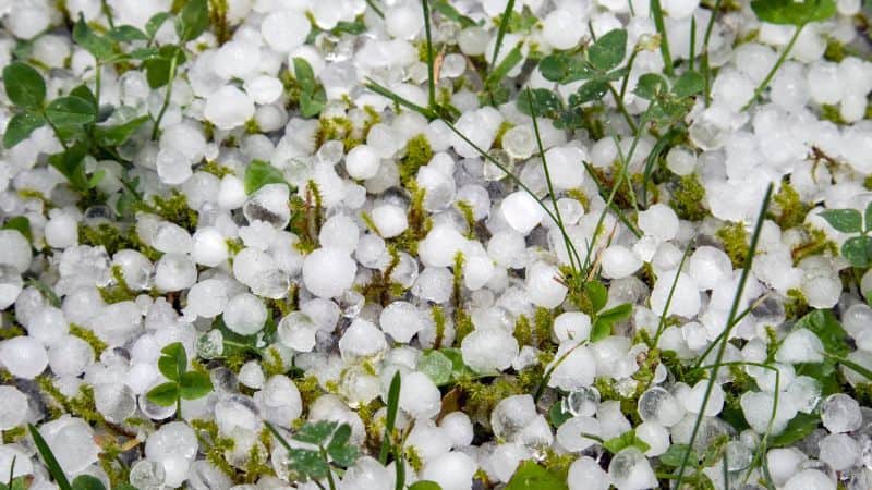 chuva de granizo