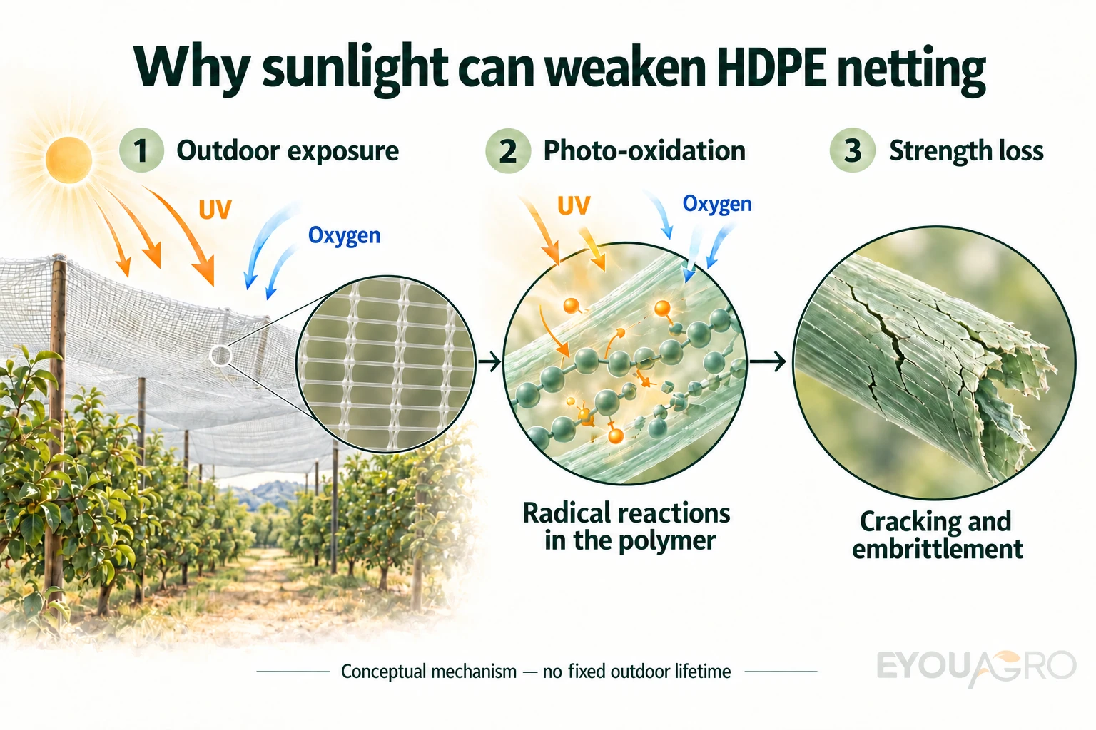 UV and oxygen contribute to photo-oxidative reactions in HDPE yarn, which can lead to cracking and embrittlement.