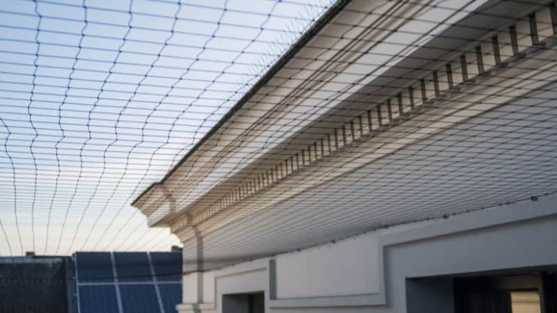 building bird netting