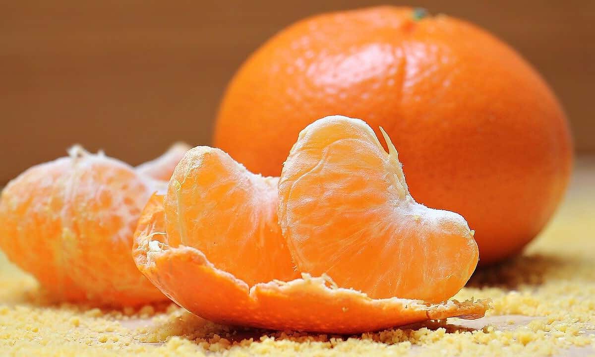 Citrus Netting