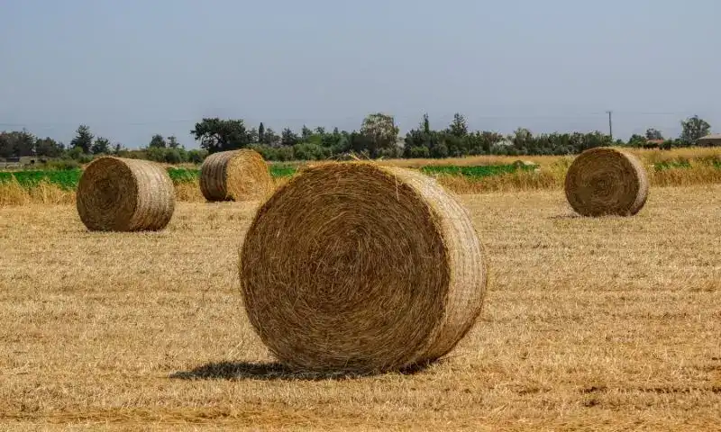 bale netwrap