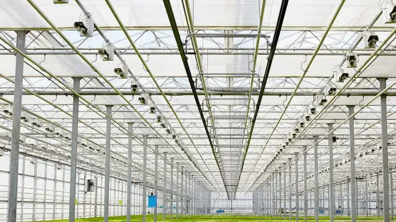 Greenhouse Radiation Proof Cooling