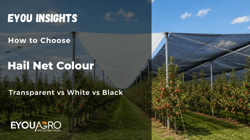 hail netting color
