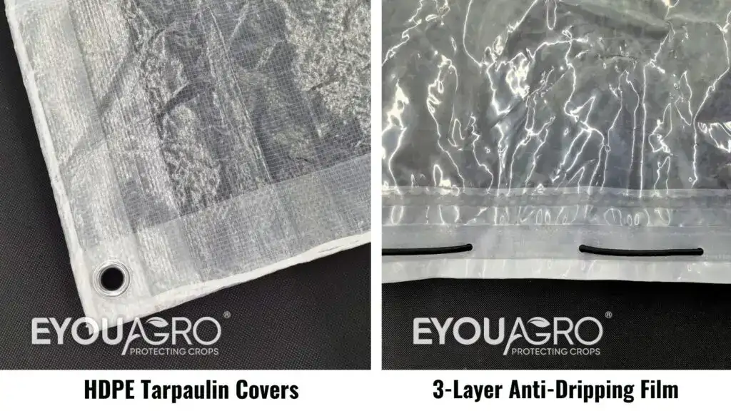 pe tarpaulin vs anti dripping film comparison