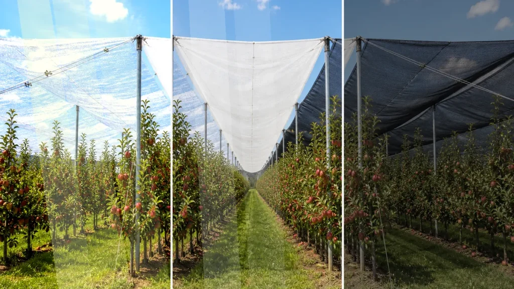 d1 hail net colour img 01 light fruit colour 1200x675