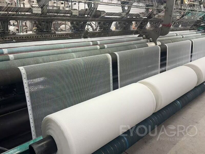 a loom at the eyouagro factory weaving transparent crystal anti hail netting.