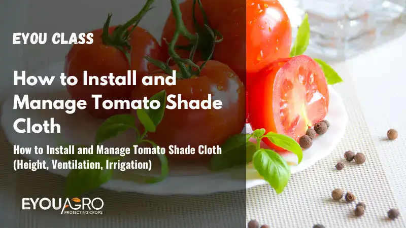 tomato shade installation cover