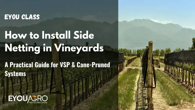 how to install side netting in vineyards