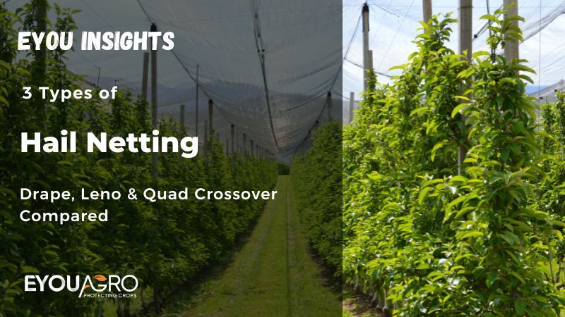 3 types of hail netting