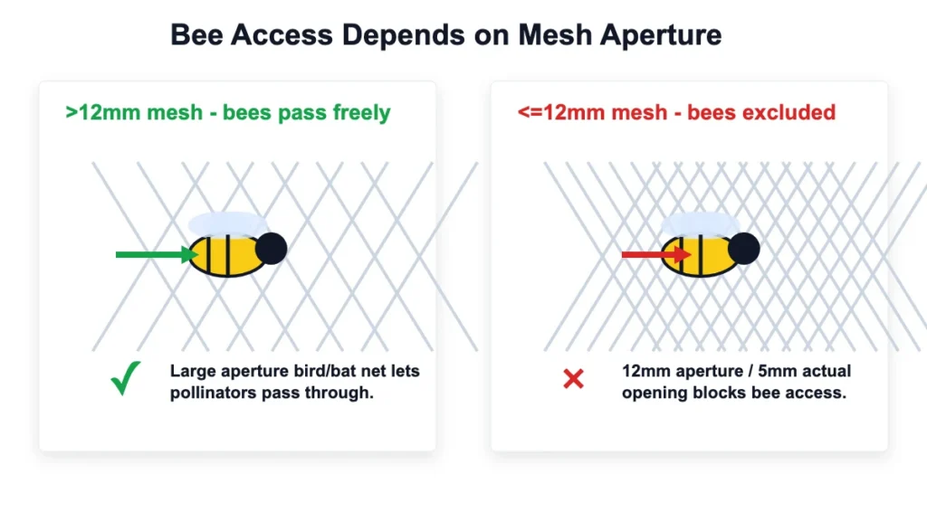 d3 bees img 01 mesh size rule 1200x675
