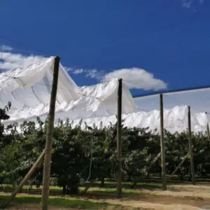 cherry rain cover tarpaulins