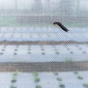 32 mesh insect net