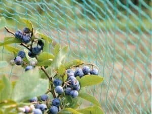 Bird Netting