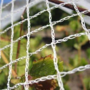 Bird Netting Main