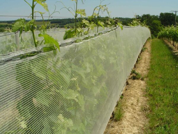 Vineyard Side Netting Main Eyouagro
