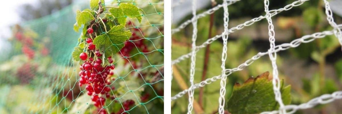 6 Helpful Tips to Consider When Dealing With Bird Netting Suppliers