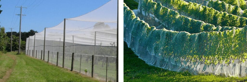 bird netting instalation 1200x400