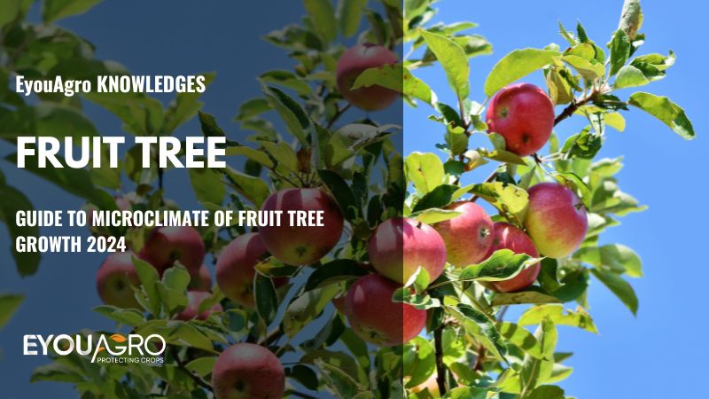 árvore frutífera