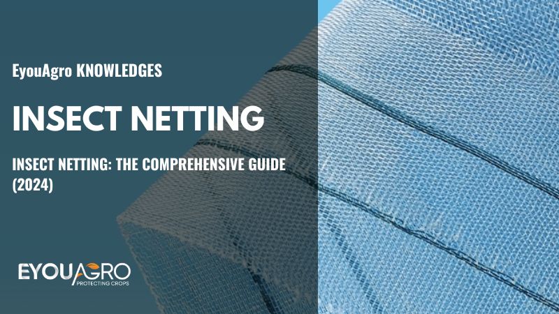Insect Netting: The Comprehensive Guide (2024)