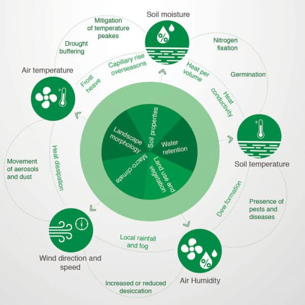 Guide To Microclimate Of Fruit Tree Growth 2024 - Eyouagro