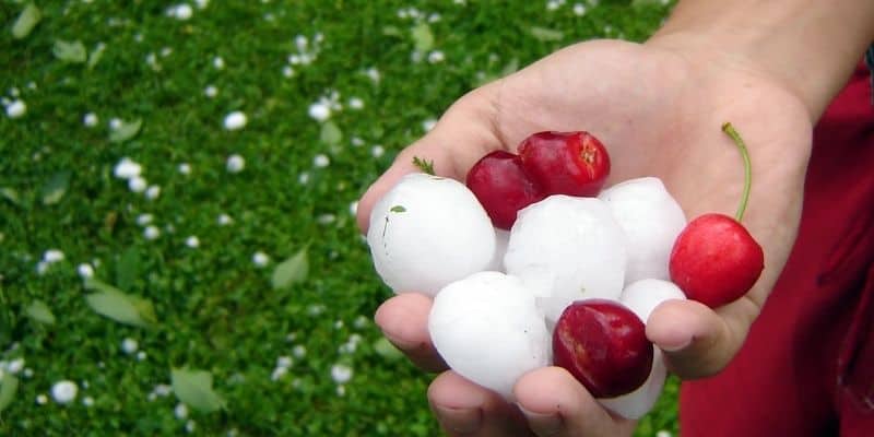 Hailstone And Cherry