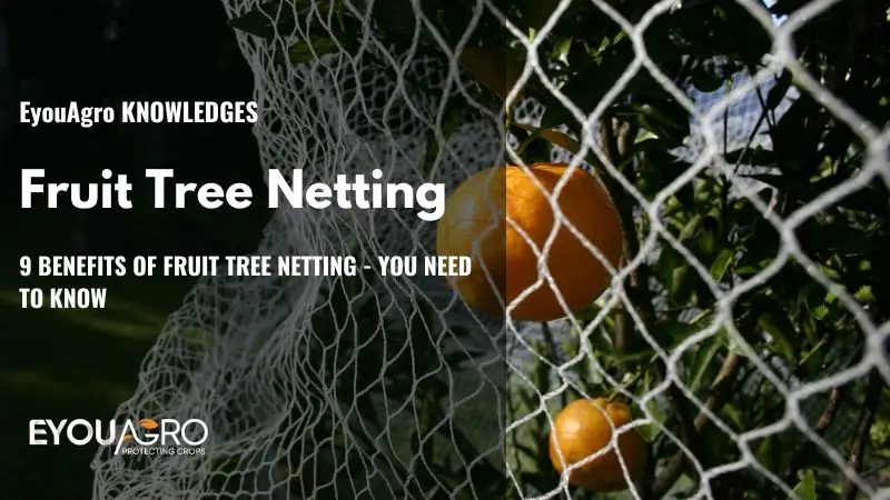 fruit tree netting