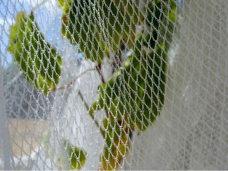 恒久的な果樹園の網