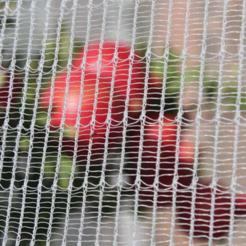 Buy Wholesale China Plastic Mesh And Netting, Hdpe Plastic Net & Plastic  Mesh And Netting at USD 10.5