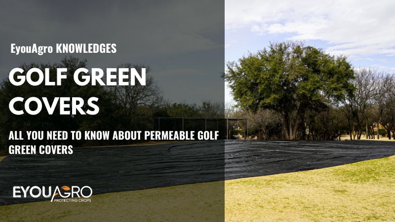 couvertures vertes de golf