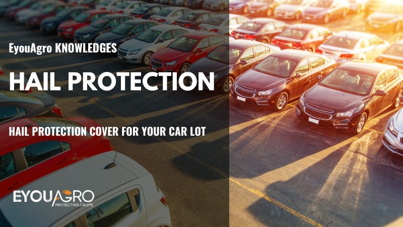 Cobertura de protección contra granizo para tu lote de coches (1)