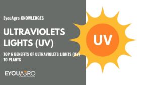 luces ultravioletas (uv)