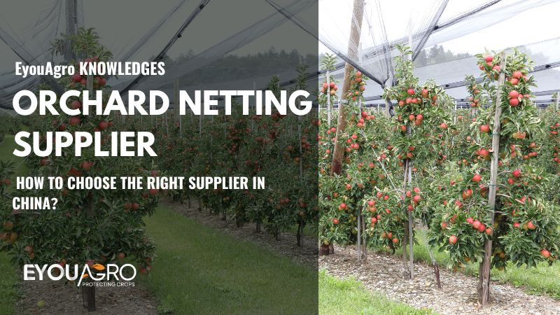 orchard netting supplier