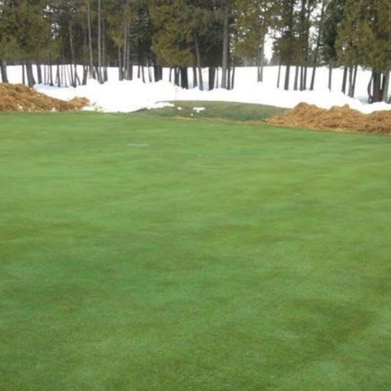 Golf Greens Cover Save Your Turf During Winter EYOUAGRO