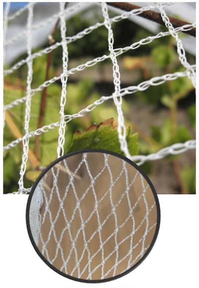 Cherry Tree Netting, Protect Your Cherry Orchard