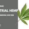 industrial hemp (1)